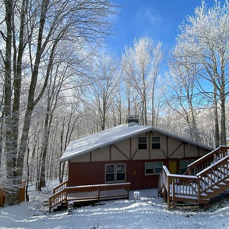 Cozy Cabin With Boosted Wi-Fi Біч-Маунтін Екстер'єр фото